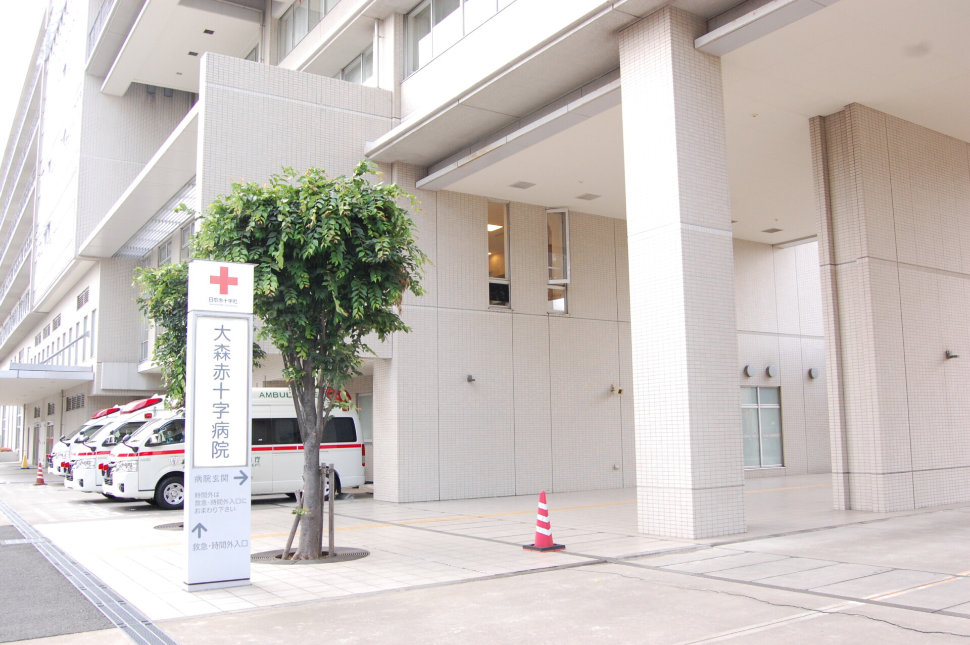 大森日赤の日常風景 – 大森赤十字病院ヘルスケア・エッセンス