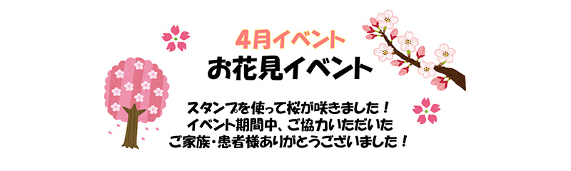 ハローPCU（緩和ケア病棟）！～お花見のイベントを開催しました～_blogアイキャッチ画像