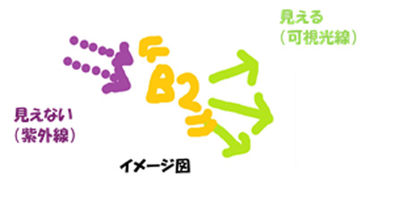 光る理由として、栄養ドリンクに入っているビタミンB2が、紫外線（ブラックライトが出す見えない光）を吸収して、エネルギーの高い状態となったあと、人間の見える光として放出されるようです。