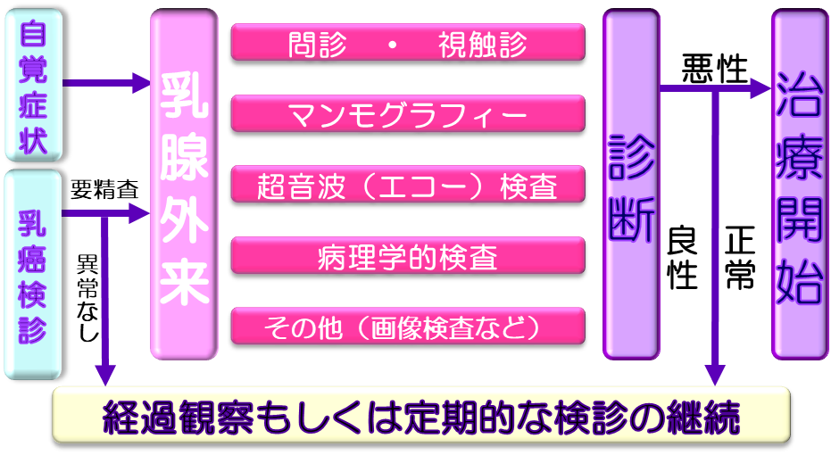 経過観察もしくは定期的な健診の継続